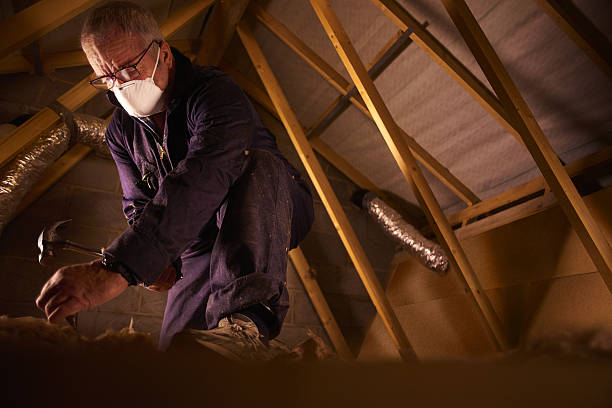 Best Geographic-Specific Insulation Services in Burlington, CO